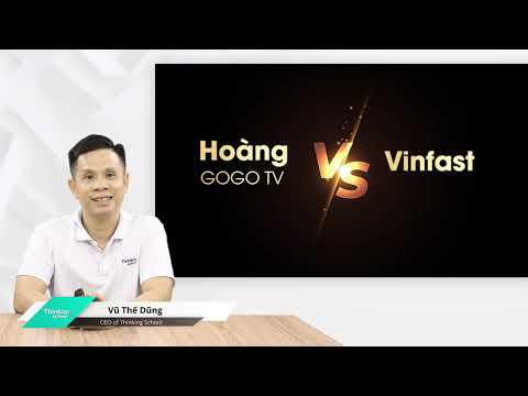 Anh Vũ Thế Dũng Phân tích vụ việc Vinfast tố cáo khách hàng của mình: Hoàng Gogo TV